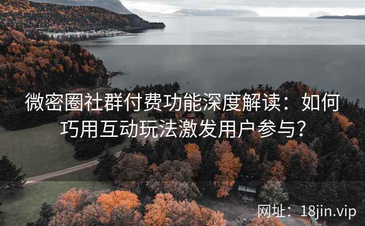 微密圈社群付费功能深度解读：如何巧用互动玩法激发用户参与？