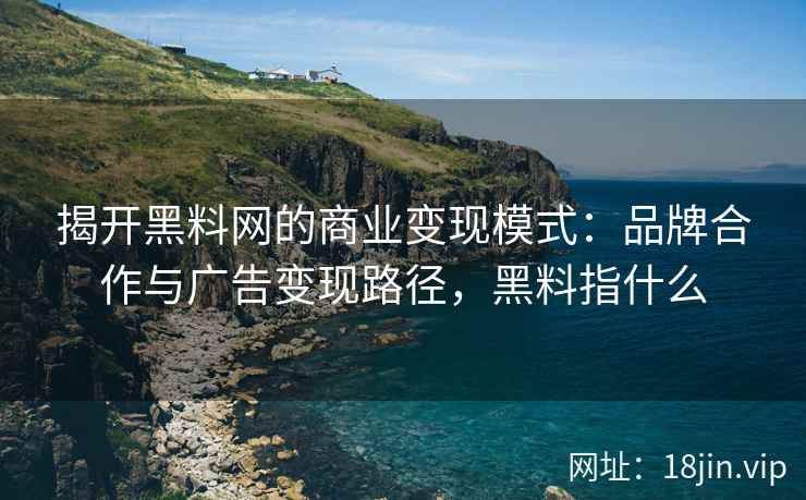 揭开黑料网的商业变现模式：品牌合作与广告变现路径，黑料指什么