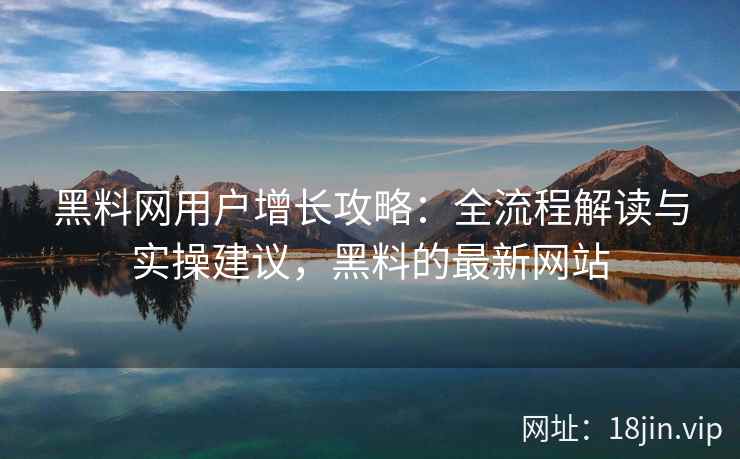 黑料网用户增长攻略：全流程解读与实操建议，黑料的最新网站