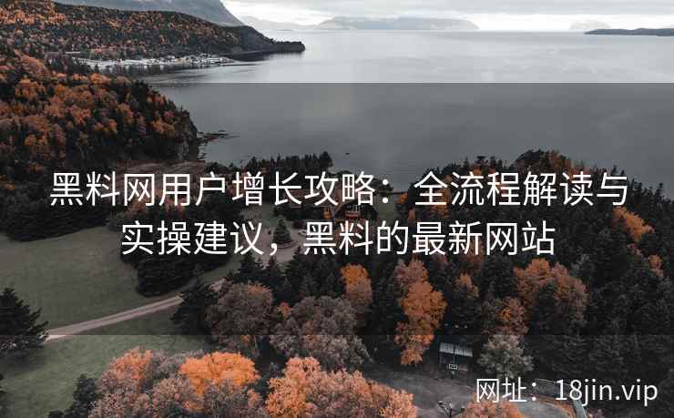 黑料网用户增长攻略：全流程解读与实操建议，黑料的最新网站