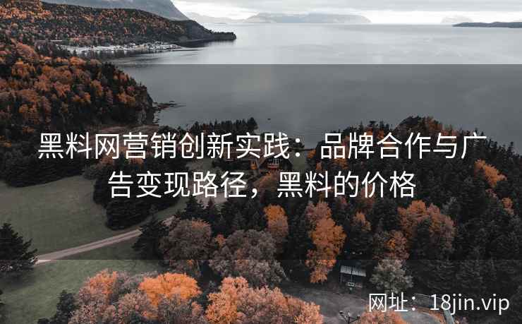 黑料网营销创新实践：品牌合作与广告变现路径，黑料的价格
