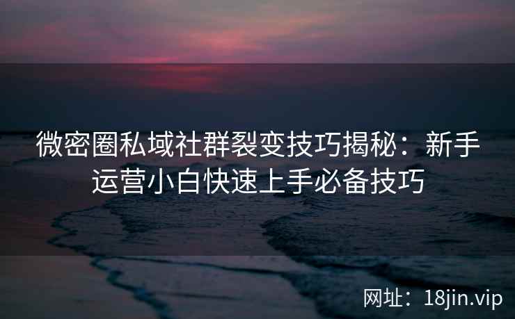 微密圈私域社群裂变技巧揭秘:新手运营小白快速上手必备技巧